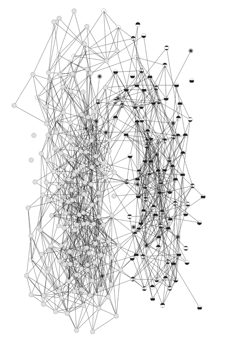 A network of High School friendships coloured by ethnicity from the book 'Social and Economic Networks' by Matthew Jackson.